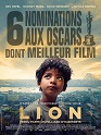 Photo fiche lion