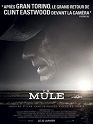 Photo fiche the mule