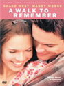 Photo critique A walk to remember